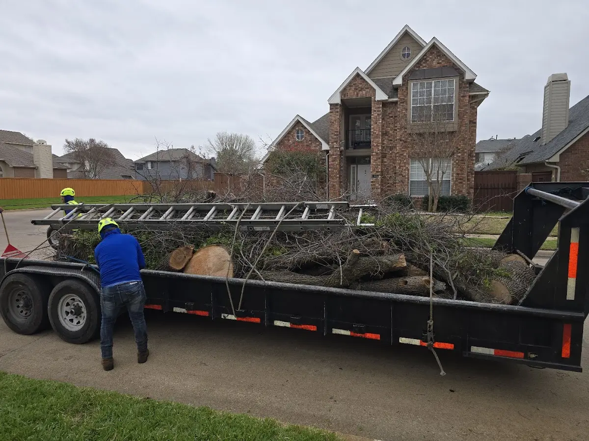 Expert Tree Fertilization with proper safety equipment in Burke